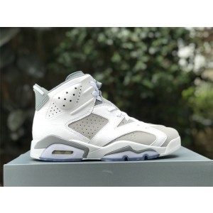 Air Jordan 6 Cool Grey