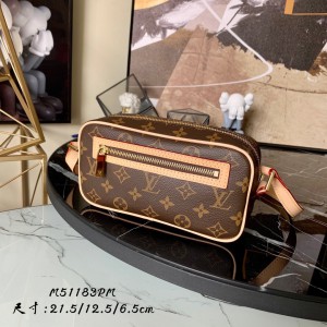 Louis Vuitton Monogram Canvas Pochette Cite