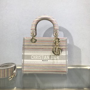 Medium Lady D-Lite Multicolor Stripes Embroidery